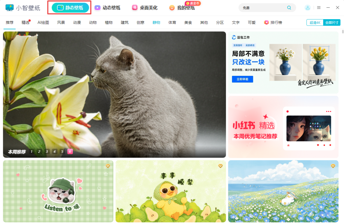 小智壁纸