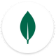 MongoDB Compass