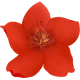 小红花音效助手