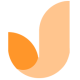 优考试