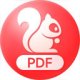 PDF